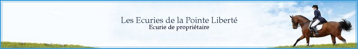 Les Ecuries de la Pointe Liberté