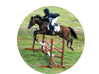 Déménagement du Site web